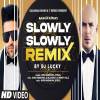 Slowly Slowly Remix - DJ Lucky